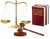 خدمات قانونية فى سعيدة - 21